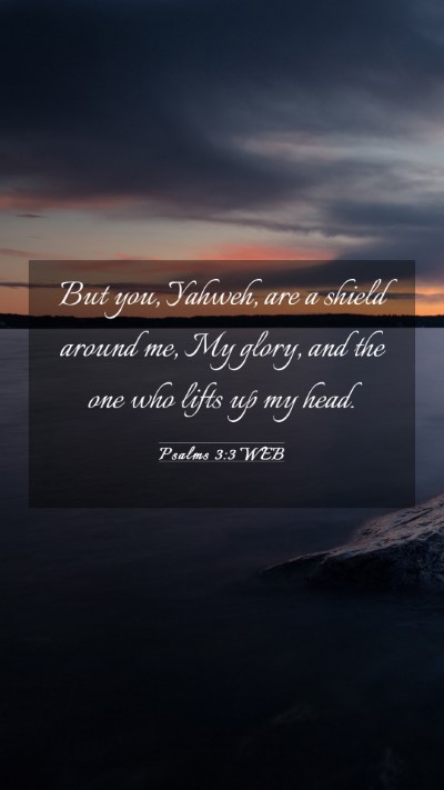 Picture 03 - Psalms 3:3 WEB Mobile Phone Wallpaper - But you, Yahweh, are a shield around me, My - Mobile Bible Verse Wallpaper