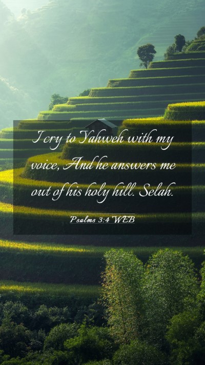Picture 03 - Psalms 3:4 WEB Mobile Phone Wallpaper - I cry to Yahweh with my voice, And he answers me - Mobile Bible Verse Wallpaper