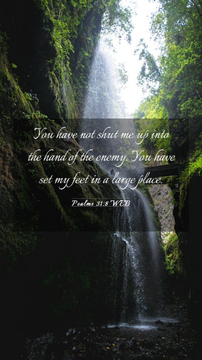 Picture 03 - Psalms 31:8 WEB Mobile Phone Wallpaper - You have not shut me up into the hand of the - Mobile Bible Verse Wallpaper