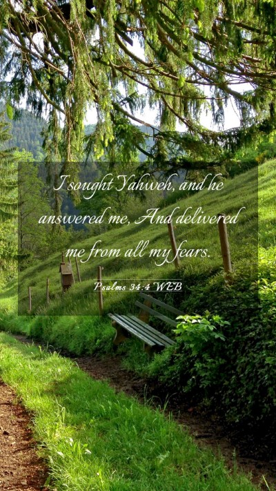Picture 03 - Psalms 34:4 WEB Mobile Phone Wallpaper - I sought Yahweh, and he answered me, And - Mobile Bible Verse Wallpaper