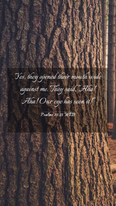 Picture 03 - Psalms 35:21 WEB Mobile Phone Wallpaper - Yes, they opened their mouth wide against me. - Mobile Bible Verse Wallpaper