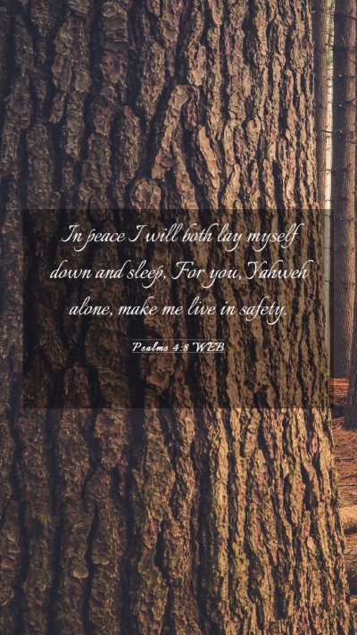 Picture 03 - Psalms 4:8 WEB Mobile Phone Wallpaper - In peace I will both lay myself down and sleep, - Mobile Bible Verse Wallpaper