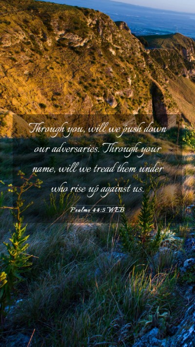 Picture 03 - Psalms 44:5 WEB Mobile Phone Wallpaper - Through you, will we push down our adversaries. - Mobile Bible Verse Wallpaper