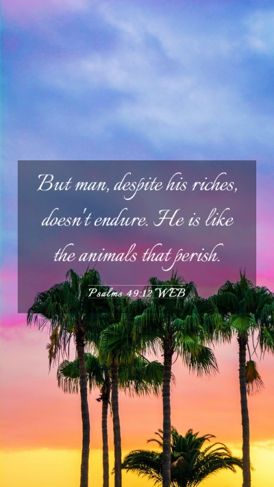 Picture 03 - Psalms 49:12 WEB Mobile Phone Wallpaper - But man, despite his riches, doesn't endure. He - Mobile Bible Verse Wallpaper