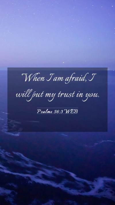 Picture 03 - Psalms 56:3 WEB Mobile Phone Wallpaper - When I am afraid, I will put my trust in - Mobile Bible Verse Wallpaper