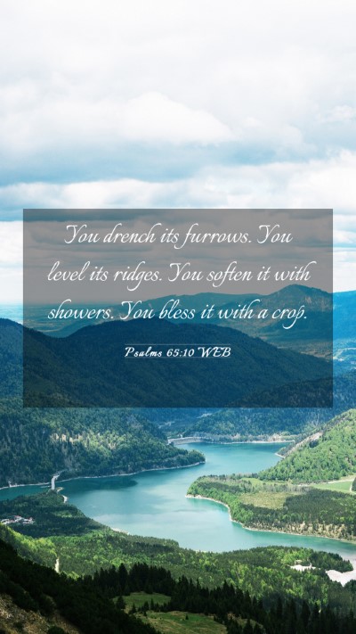 Picture 03 - Psalms 65:10 WEB Mobile Phone Wallpaper - You drench its furrows. You level its ridges. You - Mobile Bible Verse Wallpaper