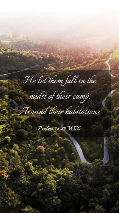 Picture 03 - Psalms 78:28 WEB Mobile Phone Wallpaper - He let them fall in the midst of their camp, - Mobile Bible Verse Wallpaper