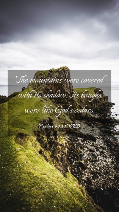 Picture 03 - Psalms 80:10 WEB Mobile Phone Wallpaper - The mountains were covered with its shadow. Its - Mobile Bible Verse Wallpaper