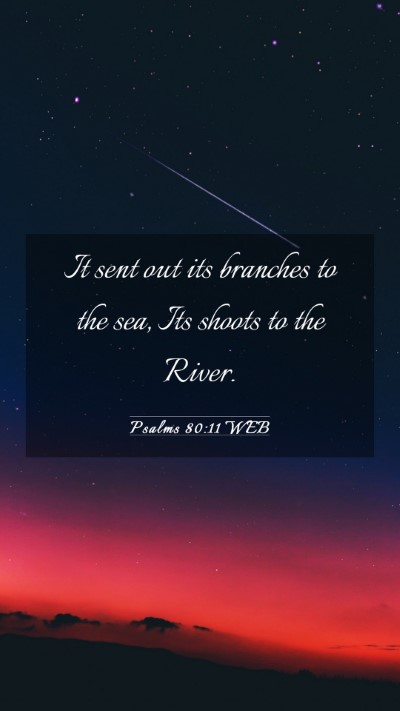 Picture 03 - Psalms 80:11 WEB Mobile Phone Wallpaper - It sent out its branches to the sea, Its shoots - Mobile Bible Verse Wallpaper