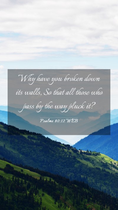 Picture 03 - Psalms 80:12 WEB Mobile Phone Wallpaper - Why have you broken down its walls, So that all - Mobile Bible Verse Wallpaper