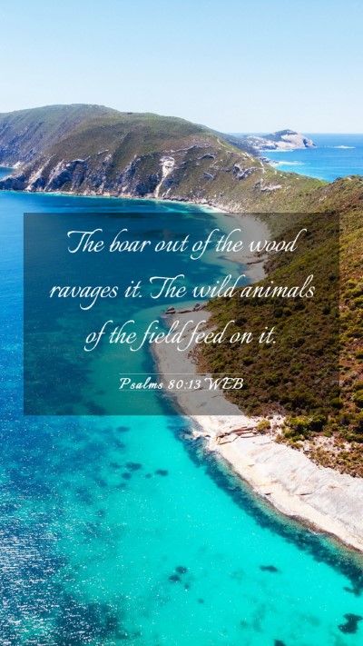 Picture 03 - Psalms 80:13 WEB Mobile Phone Wallpaper - The boar out of the wood ravages it. The wild - Mobile Bible Verse Wallpaper