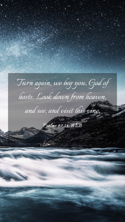 Picture 03 - Psalms 80:14 WEB Mobile Phone Wallpaper - Turn again, we beg you, God of hosts. Look down - Mobile Bible Verse Wallpaper