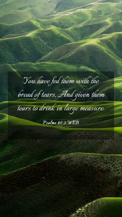 Picture 03 - Psalms 80:5 WEB Mobile Phone Wallpaper - You have fed them with the bread of tears, And - Mobile Bible Verse Wallpaper