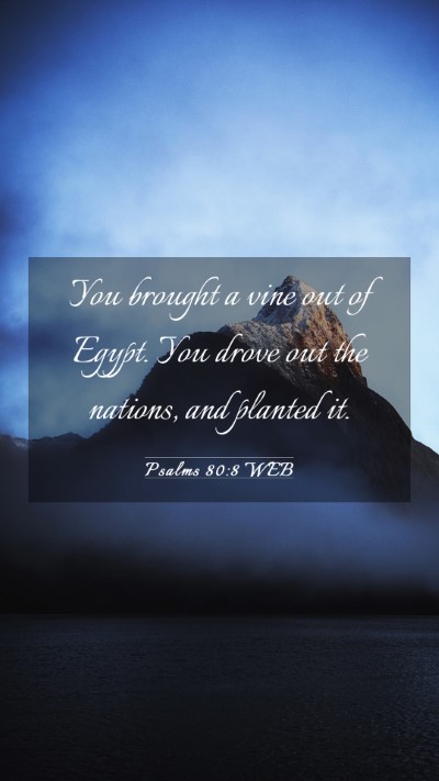 Picture 03 - Psalms 80:8 WEB Mobile Phone Wallpaper - You brought a vine out of Egypt. You drove out - Mobile Bible Verse Wallpaper