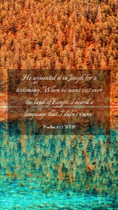 Picture 03 - Psalms 81:5 WEB Mobile Phone Wallpaper - He appointed it in Joseph for a testimony, When - Mobile Bible Verse Wallpaper