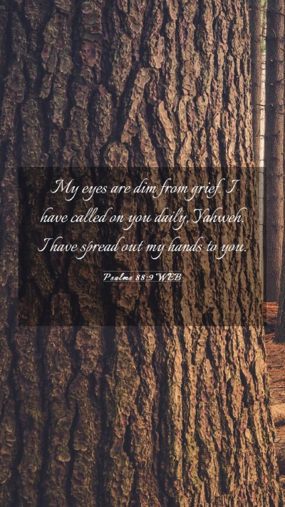 Picture 03 - Psalms 88:9 WEB Mobile Phone Wallpaper - My eyes are dim from grief. I have called on you - Mobile Bible Verse Wallpaper
