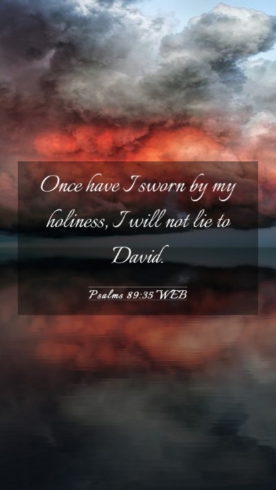 Picture 03 - Psalms 89:35 WEB Mobile Phone Wallpaper - Once have I sworn by my holiness, I will not lie - Mobile Bible Verse Wallpaper