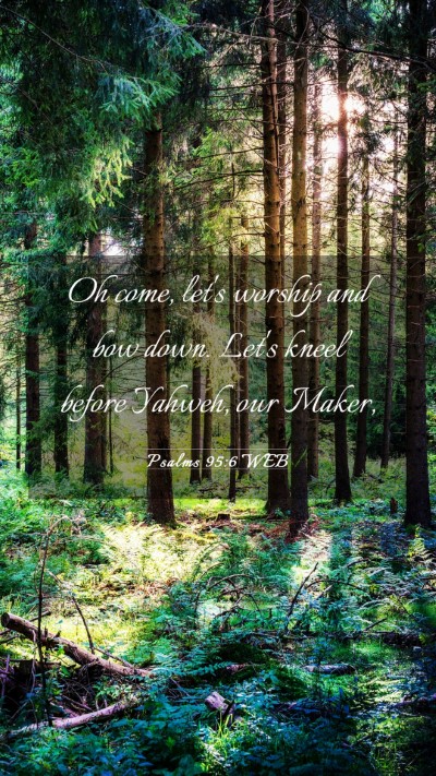 Picture 03 - Psalms 95:6 WEB Mobile Phone Wallpaper - Oh come, let's worship and bow down. Let's kneel - Mobile Bible Verse Wallpaper