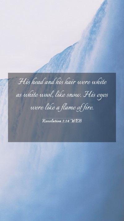 Picture 03 - Revelation 1:14 WEB Mobile Phone Wallpaper - His head and his hair were white as white wool, - Mobile Bible Verse Wallpaper