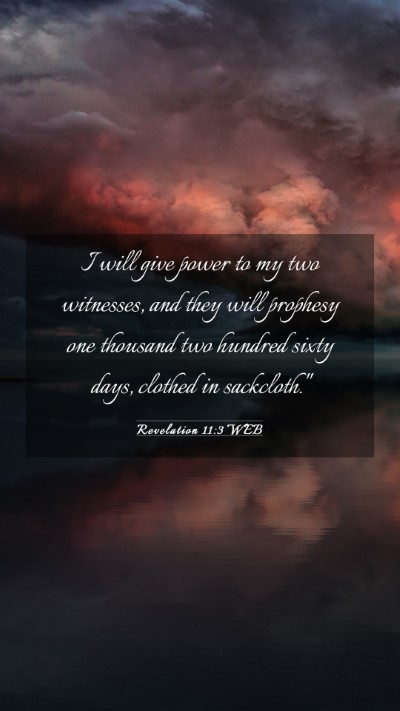 Picture 03 - Revelation 11:3 WEB Mobile Phone Wallpaper - I will give power to my two witnesses, and they - Mobile Bible Verse Wallpaper