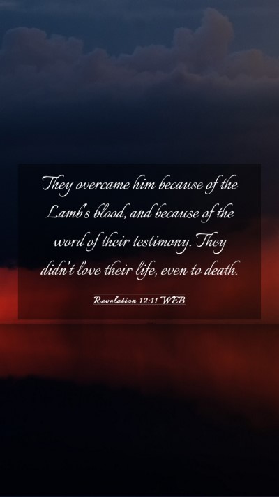 Picture 03 - Revelation 12:11 WEB Mobile Phone Wallpaper - They overcame him because of the Lamb's blood, - Mobile Bible Verse Wallpaper