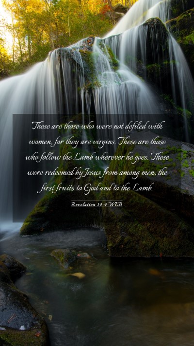 Picture 03 - Revelation 14:4 WEB Mobile Phone Wallpaper - These are those who were not defiled with women, - Mobile Bible Verse Wallpaper