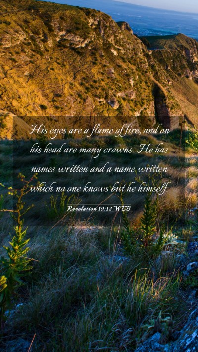 Picture 03 - Revelation 19:12 WEB Mobile Phone Wallpaper - His eyes are a flame of fire, and on his head are - Mobile Bible Verse Wallpaper