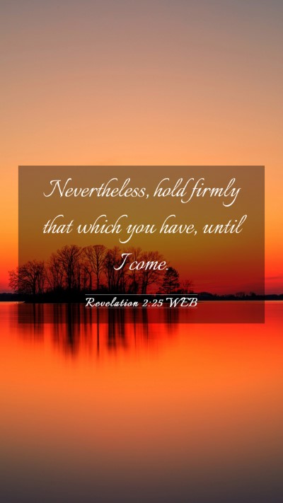 Picture 03 - Revelation 2:25 WEB Mobile Phone Wallpaper - Nevertheless, hold firmly that which you have, - Mobile Bible Verse Wallpaper