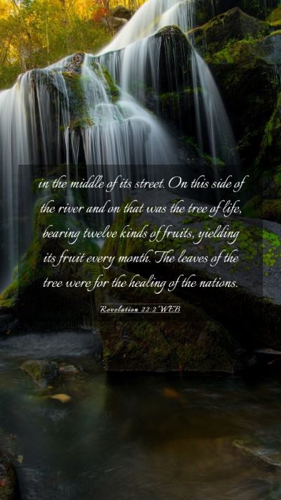 Picture 03 - Revelation 22:2 WEB Mobile Phone Wallpaper - in the middle of its street. On this side of the - Mobile Bible Verse Wallpaper