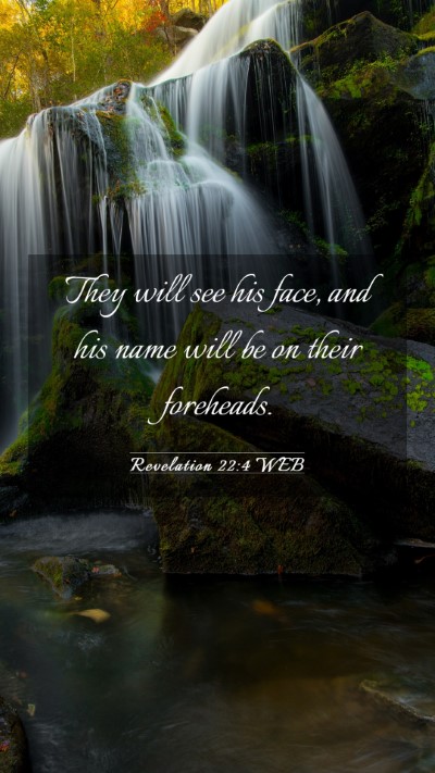 Picture 03 - Revelation 22:4 WEB Mobile Phone Wallpaper - They will see his face, and his name will be on - Mobile Bible Verse Wallpaper