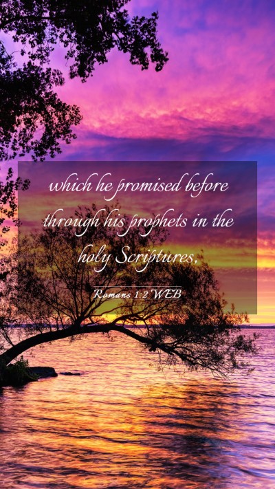Picture 03 - Romans 1:2 WEB Mobile Phone Wallpaper - which he promised before through his prophets in - Mobile Bible Verse Wallpaper