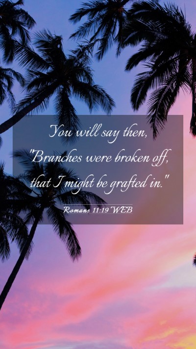 Picture 03 - Romans 11:19 WEB Mobile Phone Wallpaper - You will say then, 