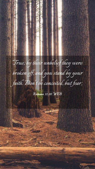 Picture 03 - Romans 11:20 WEB Mobile Phone Wallpaper - True; by their unbelief they were broken off, and - Mobile Bible Verse Wallpaper