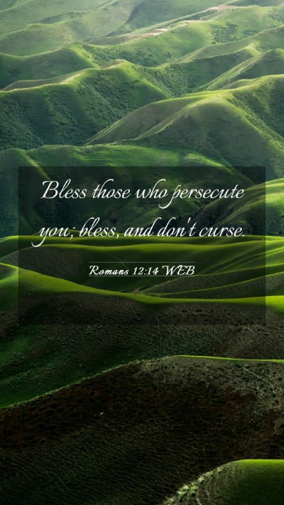 Picture 03 - Romans 12:14 WEB Mobile Phone Wallpaper - Bless those who persecute you; bless, and don't - Mobile Bible Verse Wallpaper