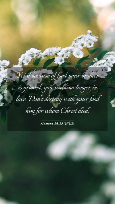 Picture 03 - Romans 14:15 WEB Mobile Phone Wallpaper - Yet if because of food your brother is grieved, - Mobile Bible Verse Wallpaper