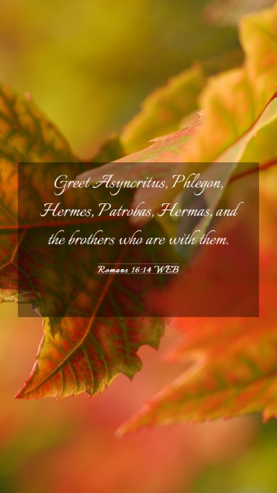 Picture 03 - Romans 16:14 WEB Mobile Phone Wallpaper - Greet Asyncritus, Phlegon, Hermes, Patrobas, - Mobile Bible Verse Wallpaper