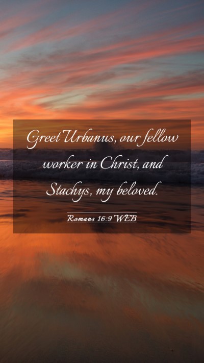 Picture 03 - Romans 16:9 WEB Mobile Phone Wallpaper - Greet Urbanus, our fellow worker in Christ, and - Mobile Bible Verse Wallpaper