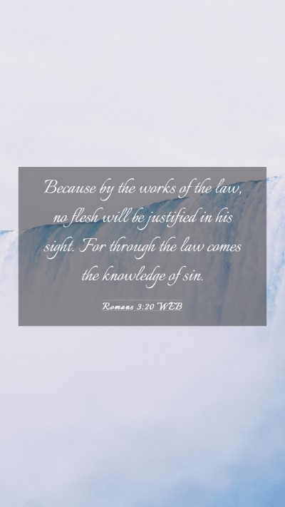 Picture 03 - Romans 3:20 WEB Mobile Phone Wallpaper - Because by the works of the law, no flesh will be - Mobile Bible Verse Wallpaper