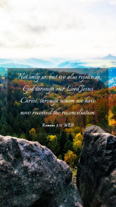 Picture 03 - Romans 5:11 WEB Mobile Phone Wallpaper - Not only so, but we also rejoice in God through - Mobile Bible Verse Wallpaper