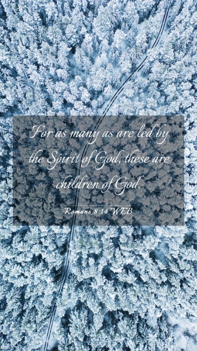 Picture 03 - Romans 8:14 WEB Mobile Phone Wallpaper - For as many as are led by the Spirit of God, - Mobile Bible Verse Wallpaper