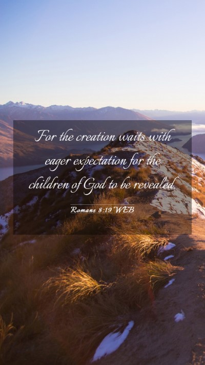 Picture 03 - Romans 8:19 WEB Mobile Phone Wallpaper - For the creation waits with eager expectation for - Mobile Bible Verse Wallpaper