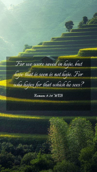 Picture 03 - Romans 8:24 WEB Mobile Phone Wallpaper - For we were saved in hope, but hope that is seen - Mobile Bible Verse Wallpaper
