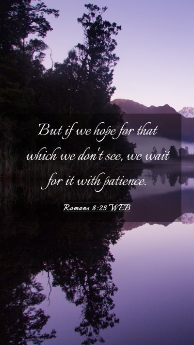 Picture 03 - Romans 8:25 WEB Mobile Phone Wallpaper - But if we hope for that which we don't see, we - Mobile Bible Verse Wallpaper