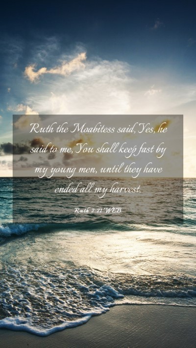 Picture 03 - Ruth 2:21 WEB Mobile Phone Wallpaper - Ruth the Moabitess said, Yes, he said to me, You - Mobile Bible Verse Wallpaper