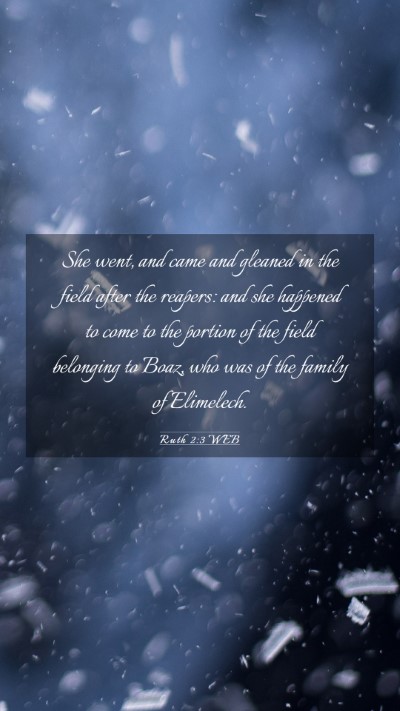 Picture 03 - Ruth 2:3 WEB Mobile Phone Wallpaper - She went, and came and gleaned in the field after - Mobile Bible Verse Wallpaper