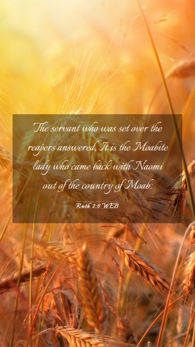 Picture 03 - Ruth 2:6 WEB Mobile Phone Wallpaper - The servant who was set over the reapers - Mobile Bible Verse Wallpaper