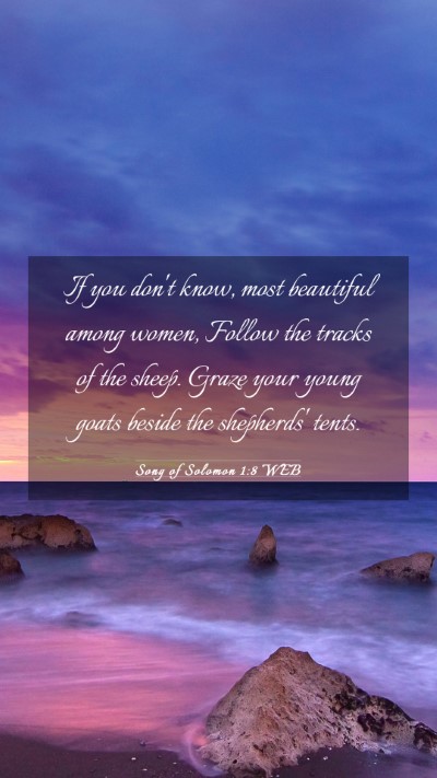Picture 03 - Song of Solomon 1:8 WEB Mobile Phone Wallpaper - If you don't know, most beautiful among women, - Mobile Bible Verse Wallpaper