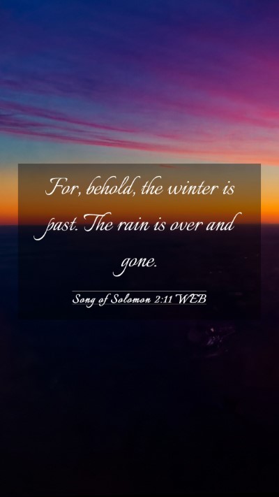 Picture 03 - Song of Solomon 2:11 WEB Mobile Phone Wallpaper - For, behold, the winter is past. The rain is over - Mobile Bible Verse Wallpaper
