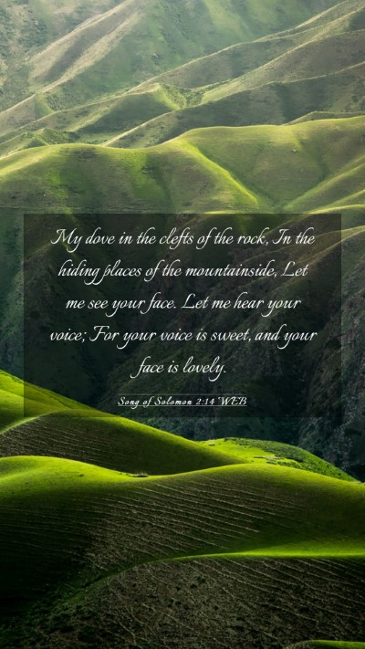 Picture 03 - Song of Solomon 2:14 WEB Mobile Phone Wallpaper - My dove in the clefts of the rock, In the hiding - Mobile Bible Verse Wallpaper
