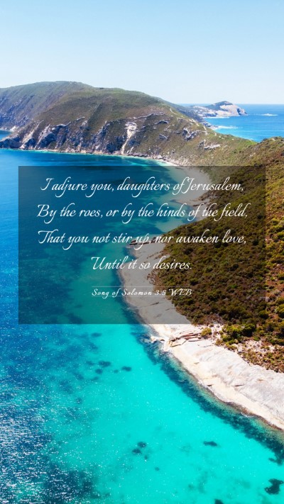 Picture 03 - Song of Solomon 3:5 WEB Mobile Phone Wallpaper - I adjure you, daughters of Jerusalem, By the - Mobile Bible Verse Wallpaper